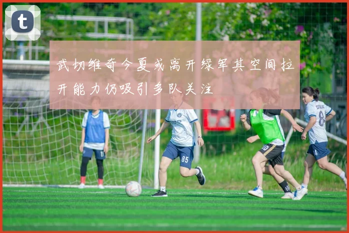 武切维奇今夏或离开绿军其空间拉开能力仍吸引多队关注