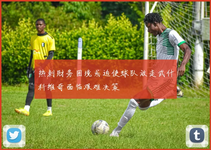 热刺财务困境或迫使球队放走武什科维奇面临艰难决策