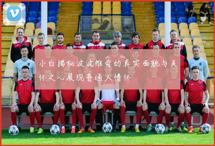小白揭秘波波维奇的真实面貌与关怀之心展现普通人情怀